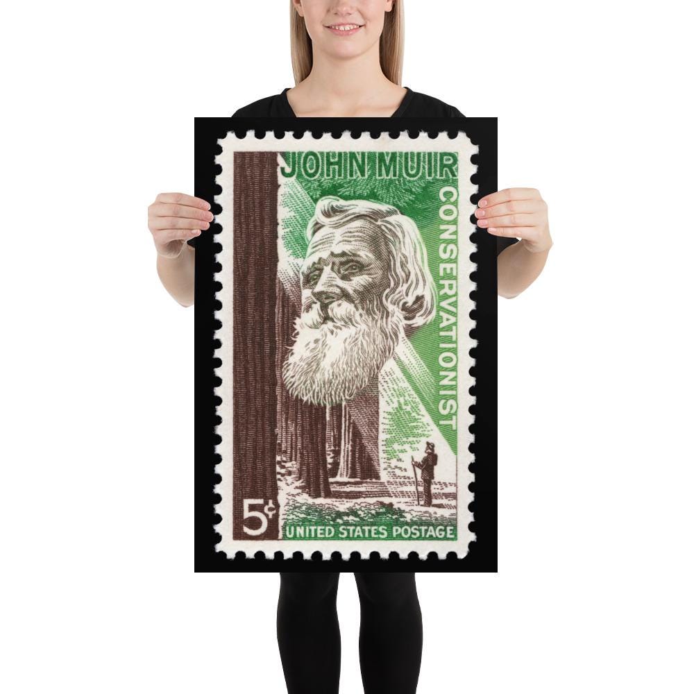 US Stamp #1245 - 1964 - 5 cent - John Muir Conservationist - Poster Print