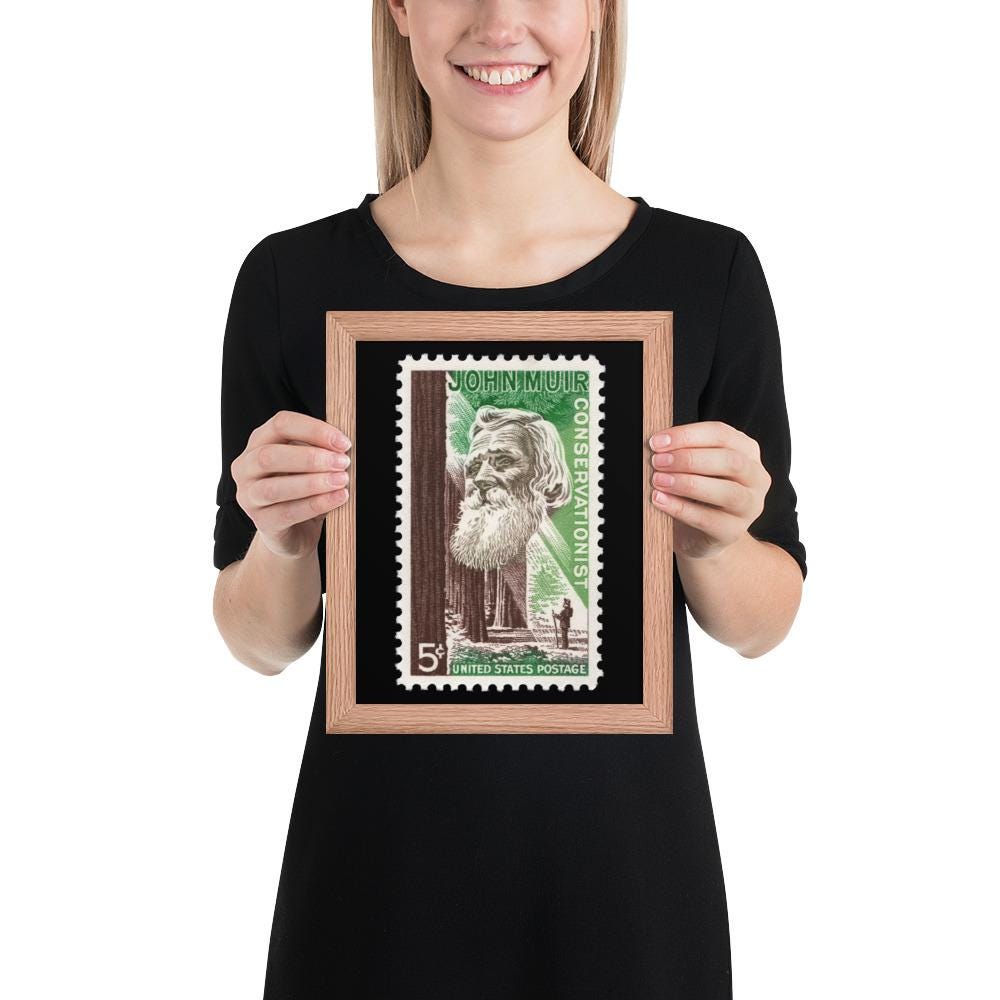 US Stamp #1245 - 1964 5 cent - John Muir Conservationist - Framed Photo
