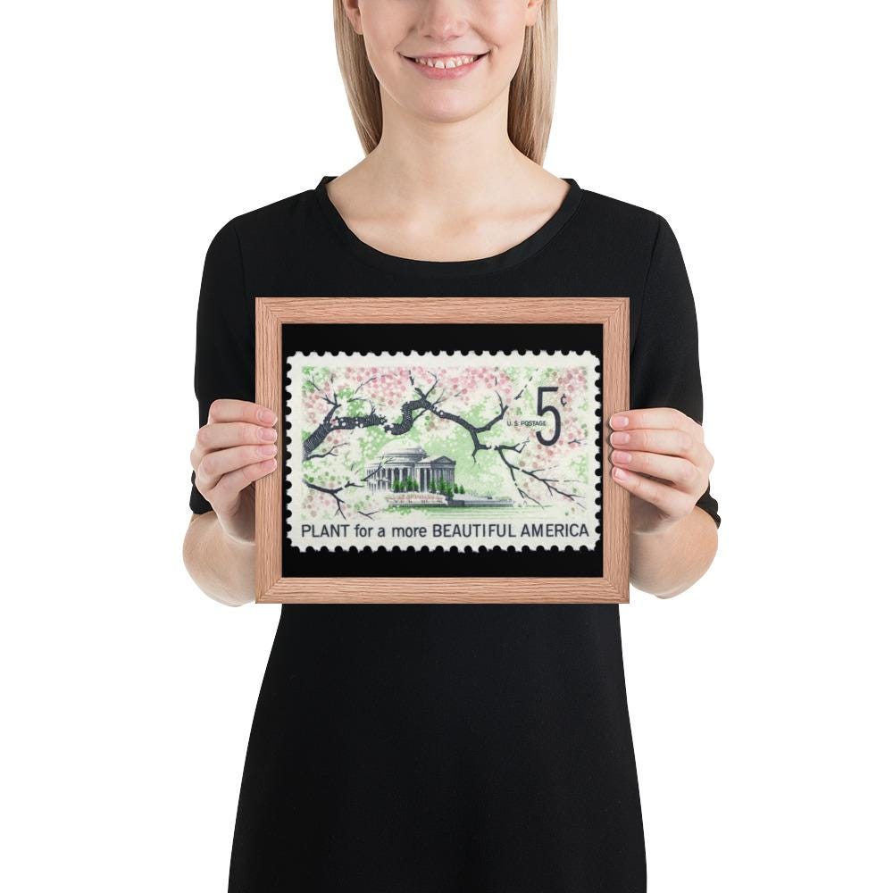 US Stamp #1318 - 1966 - 5 cent - Plant for a more Beautiful America - Framed Print