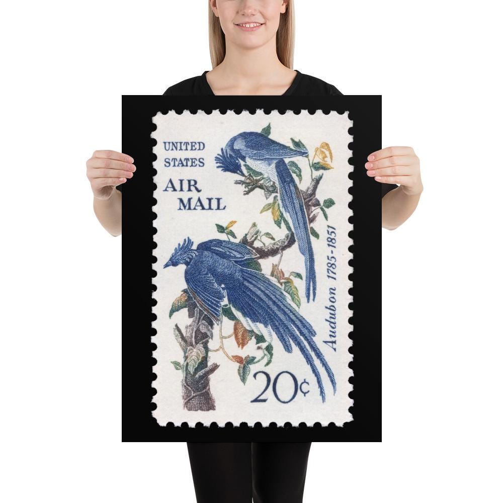 US Stamp #C71 - 1967 - 20 cent - Columbia Jays - Poster Print
