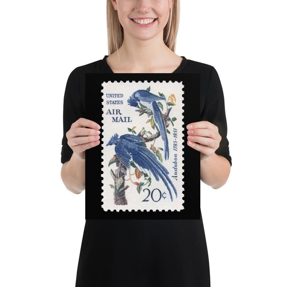 US Stamp #C71 - 1967 - 20 cent - Columbia Jays - Poster Print