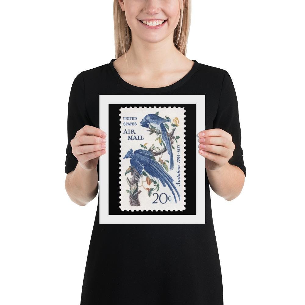 US Stamp #C71 - 1967 - 20 cent - Columbia Jays - Framed Print