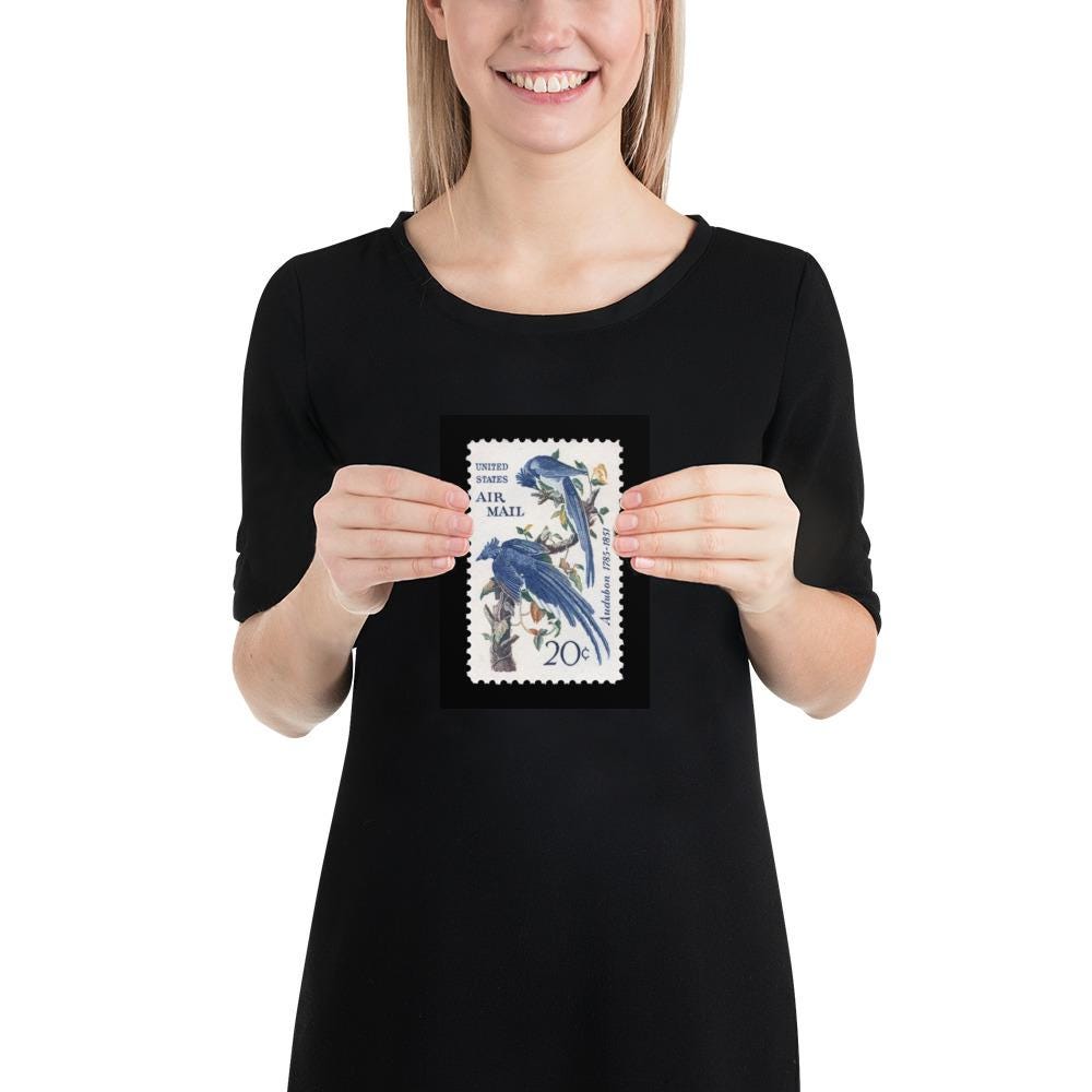 US Stamp #C71 - 1967 - 20 cent - Columbia Jays - Poster Print