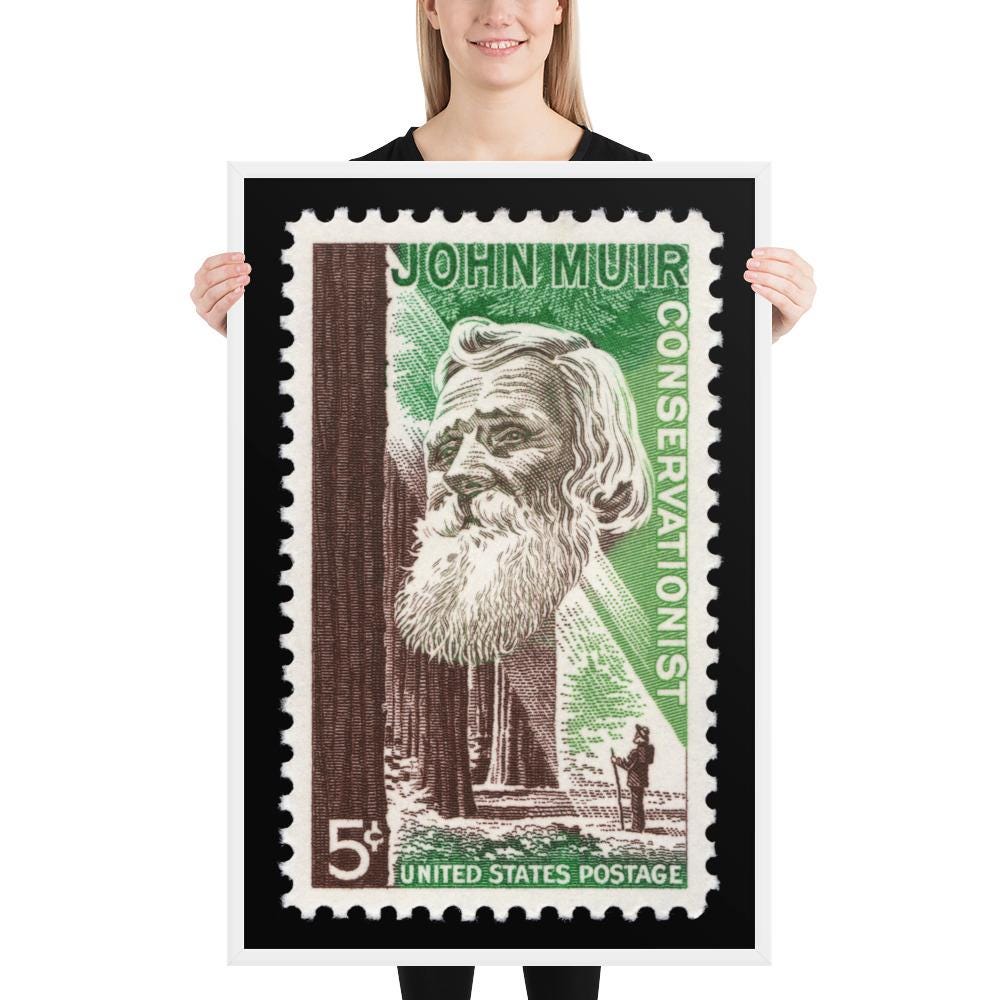 US Stamp #1245 - 1964 5 cent - John Muir Conservationist - Framed Photo