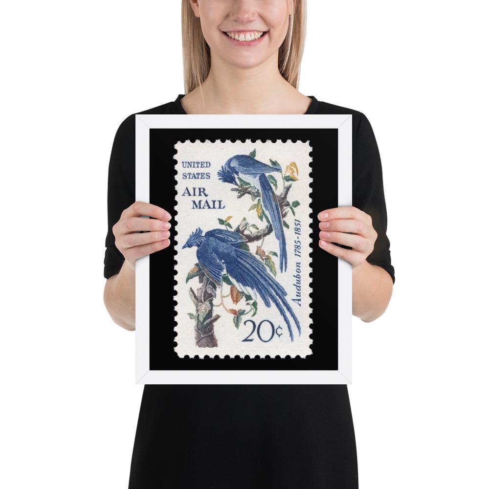 US Stamp #C71 - 1967 - 20 cent - Columbia Jays - Framed Print