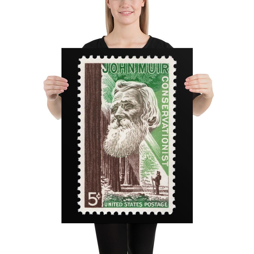 US Stamp #1245 - 1964 - 5 cent - John Muir Conservationist - Poster Print