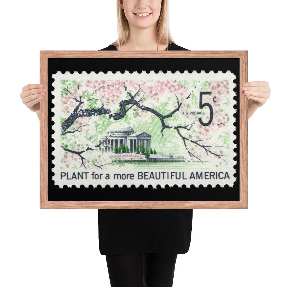 US Stamp #1318 - 1966 - 5 cent - Plant for a more Beautiful America - Framed Print