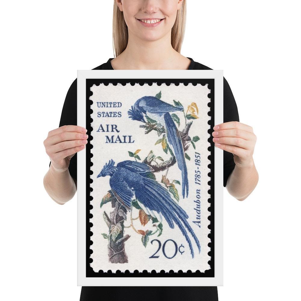 US Stamp #C71 - 1967 - 20 cent - Columbia Jays - Framed Print