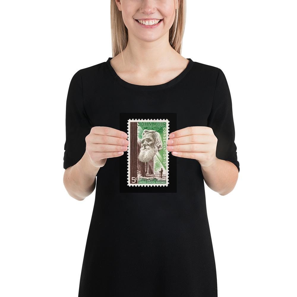 US Stamp #1245 - 1964 - 5 cent - John Muir Conservationist - Poster Print