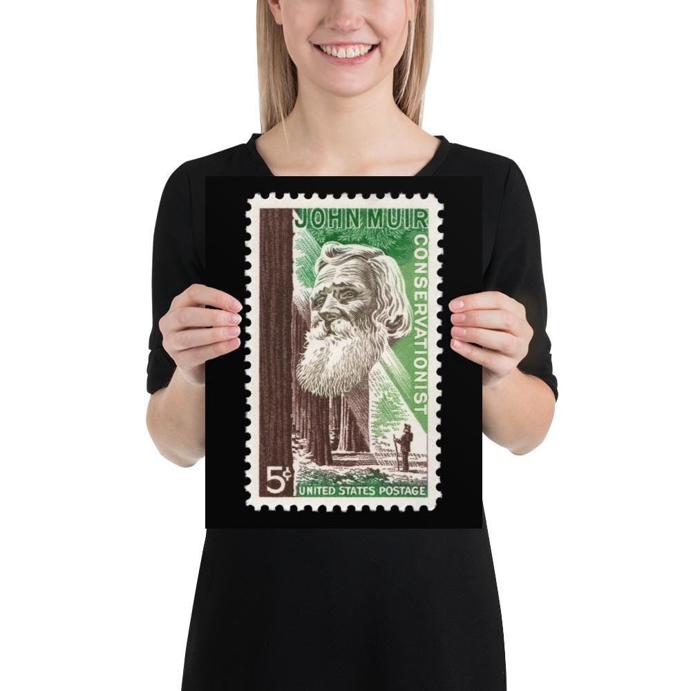 US Stamp #1245 - 1964 - 5 cent - John Muir Conservationist - Poster Print