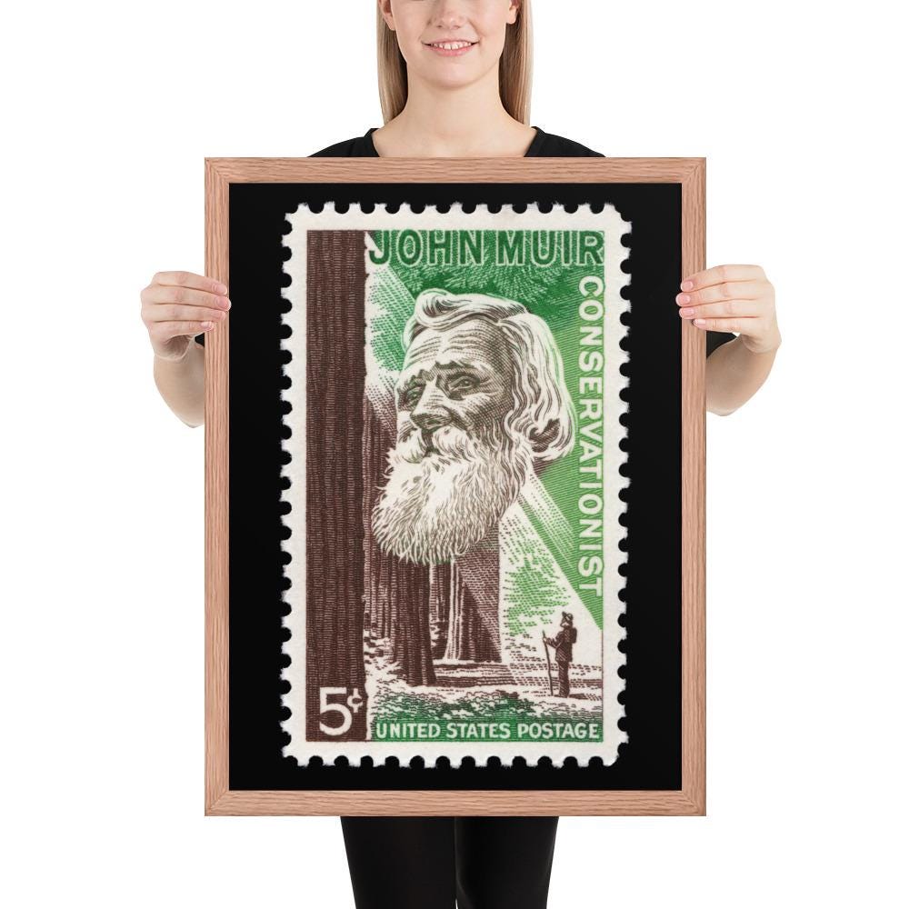 US Stamp #1245 - 1964 5 cent - John Muir Conservationist - Framed Photo