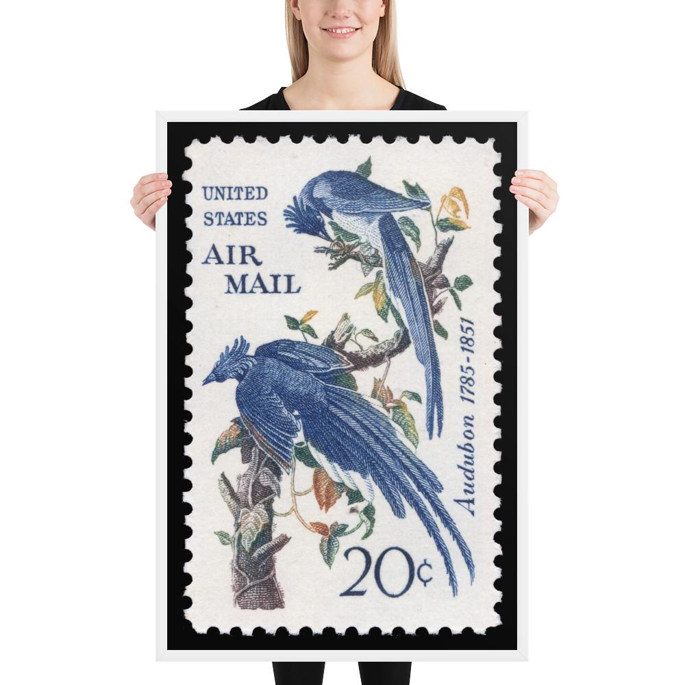US Stamp #C71 - 1967 - 20 cent - Columbia Jays - Framed Print