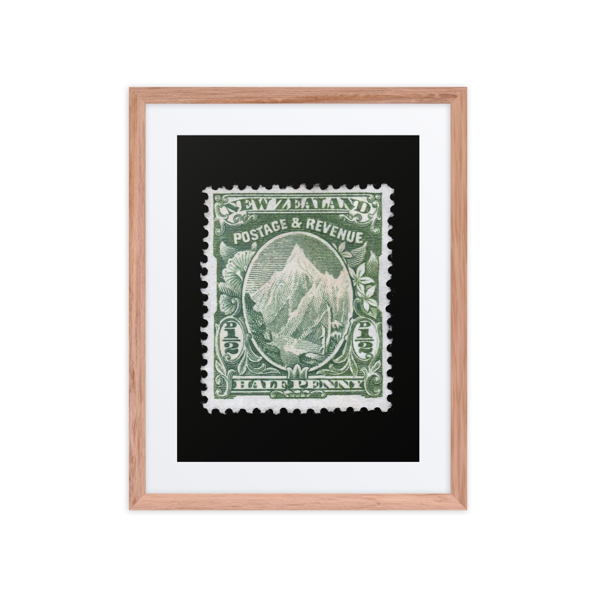 New Zealand #104 - 1902 - 1/2 penny - Mount Cook (Framed + Matted Print)