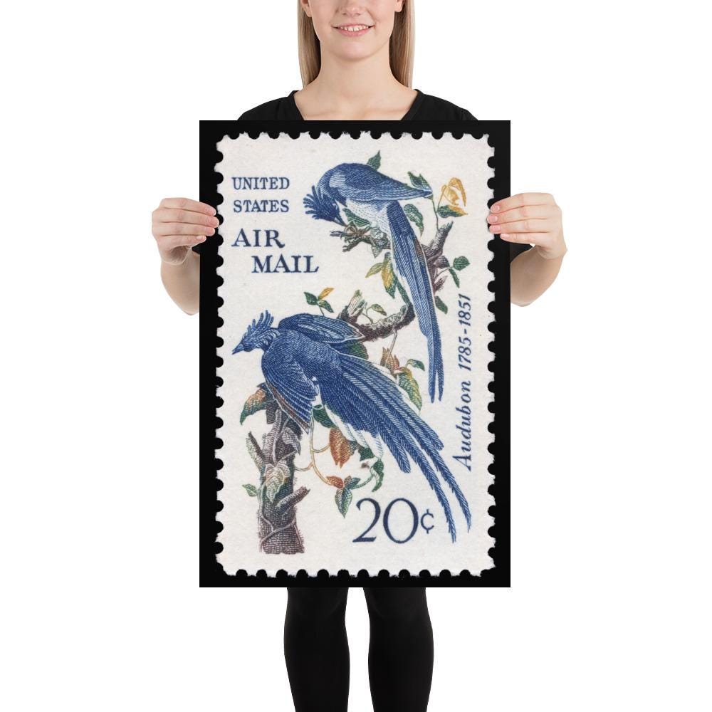 US Stamp #C71 - 1967 - 20 cent - Columbia Jays - Poster Print