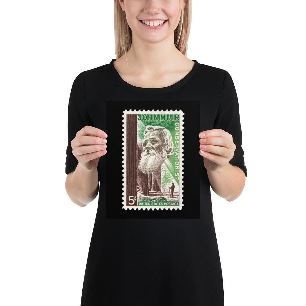 US Stamp #1245 - 1964 - 5 cent - John Muir Conservationist - Poster Print