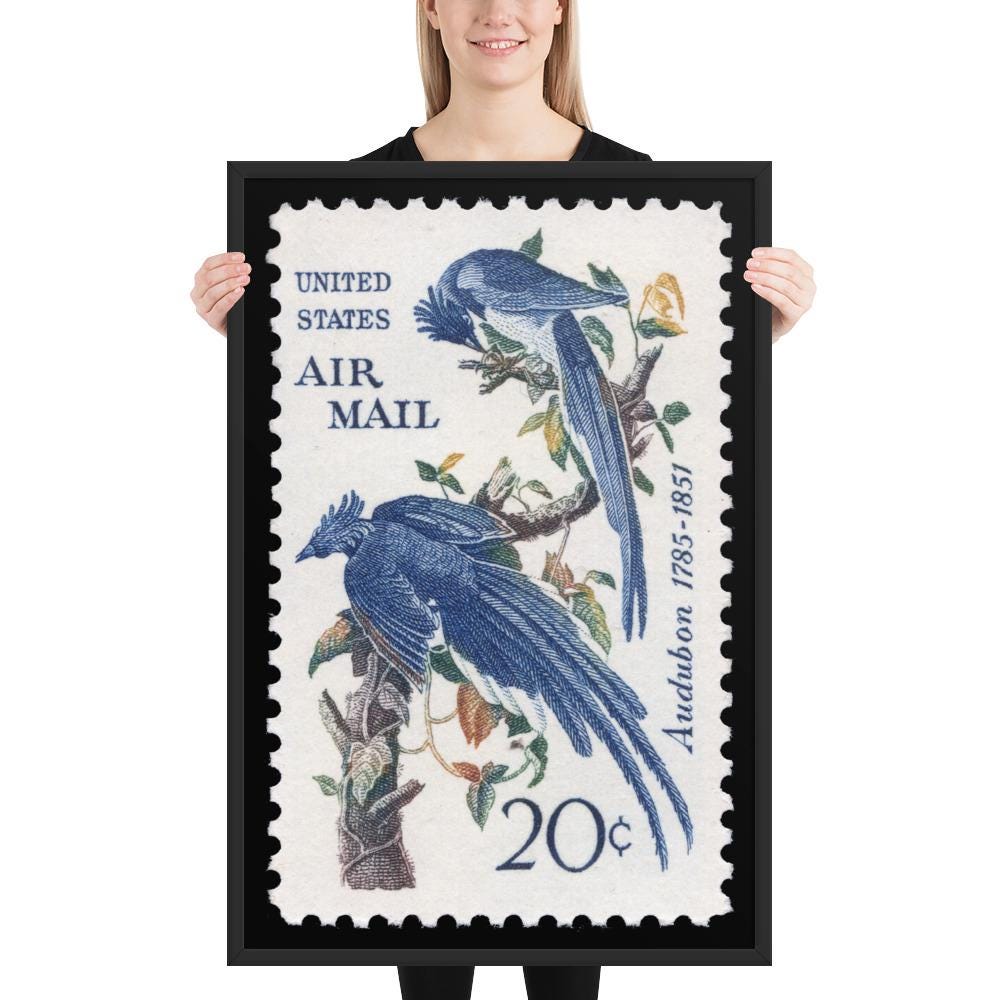US Stamp #C71 - 1967 - 20 cent - Columbia Jays - Framed Print