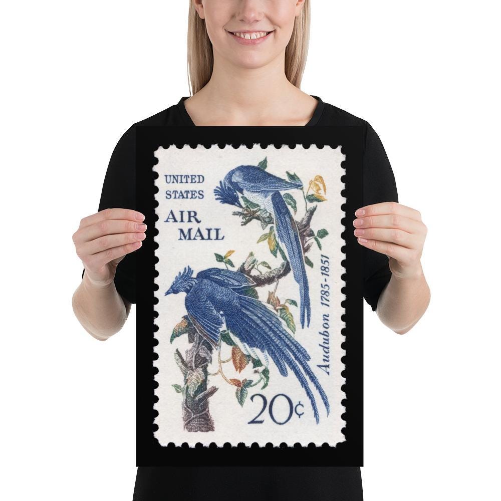 US Stamp #C71 - 1967 - 20 cent - Columbia Jays - Poster Print