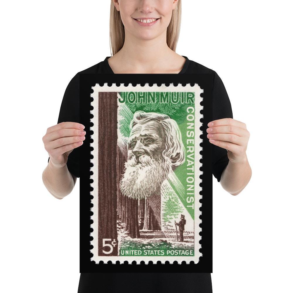 US Stamp #1245 - 1964 - 5 cent - John Muir Conservationist - Poster Print