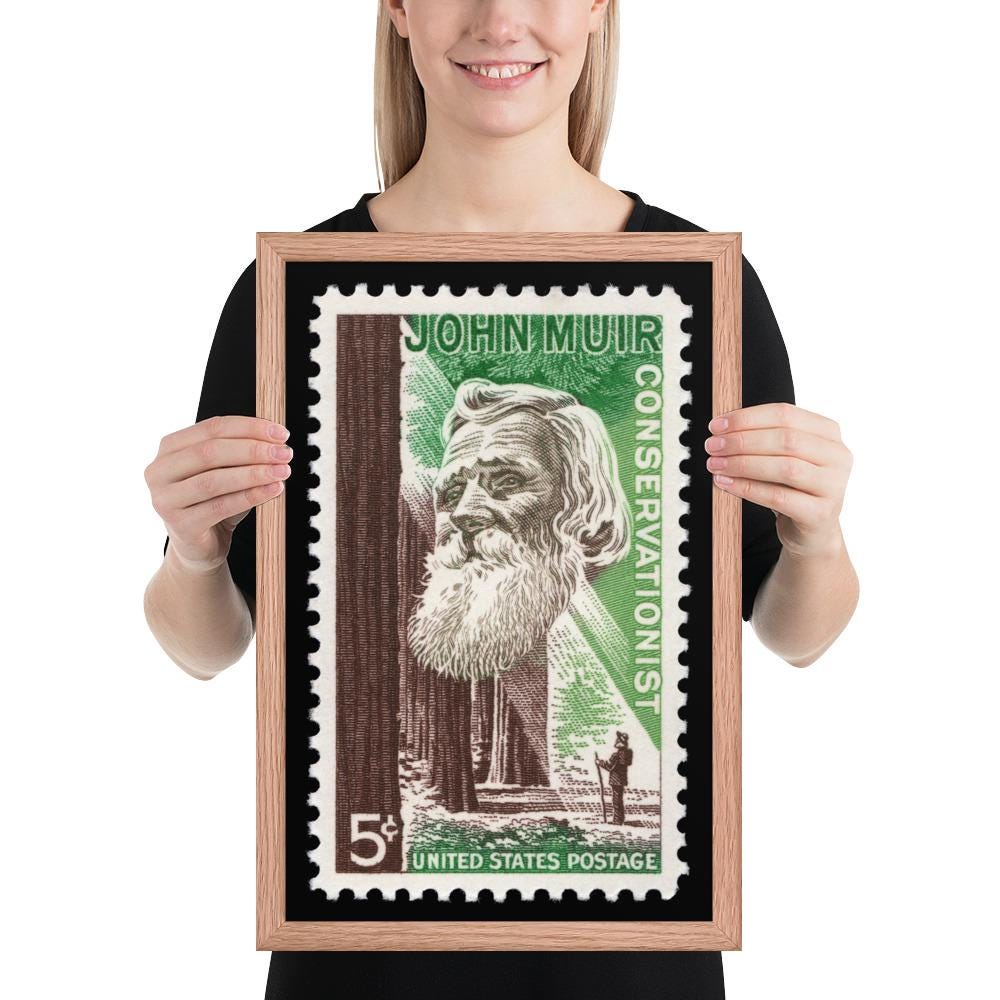 US Stamp #1245 - 1964 5 cent - John Muir Conservationist - Framed Photo