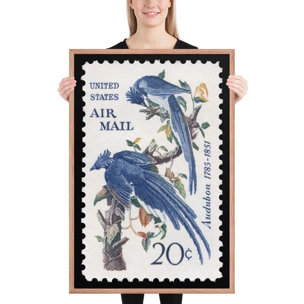 US Stamp #C71 - 1967 - 20 cent - Columbia Jays - Framed Print