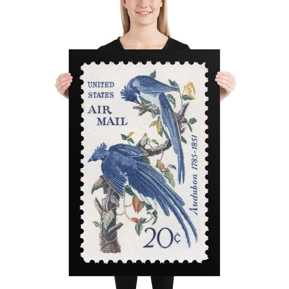 US Stamp #C71 - 1967 - 20 cent - Columbia Jays - Poster Print