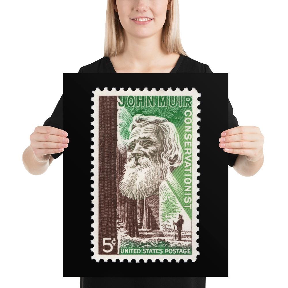 US Stamp #1245 - 1964 - 5 cent - John Muir Conservationist - Poster Print