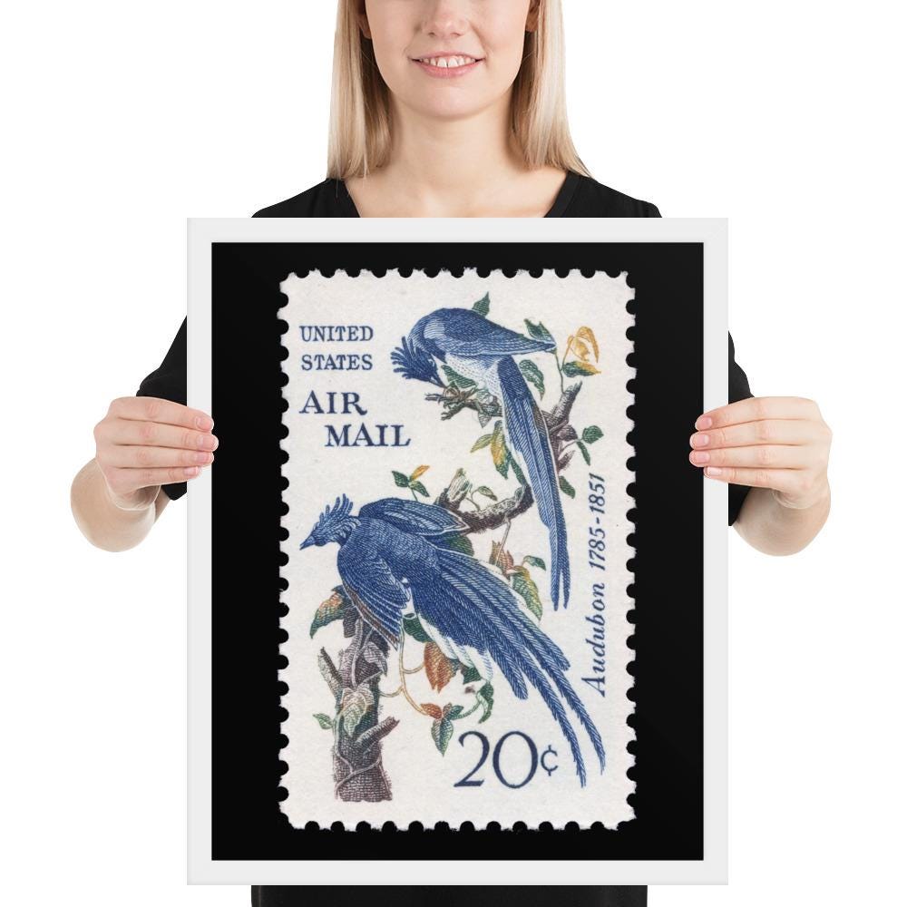 US Stamp #C71 - 1967 - 20 cent - Columbia Jays - Framed Print