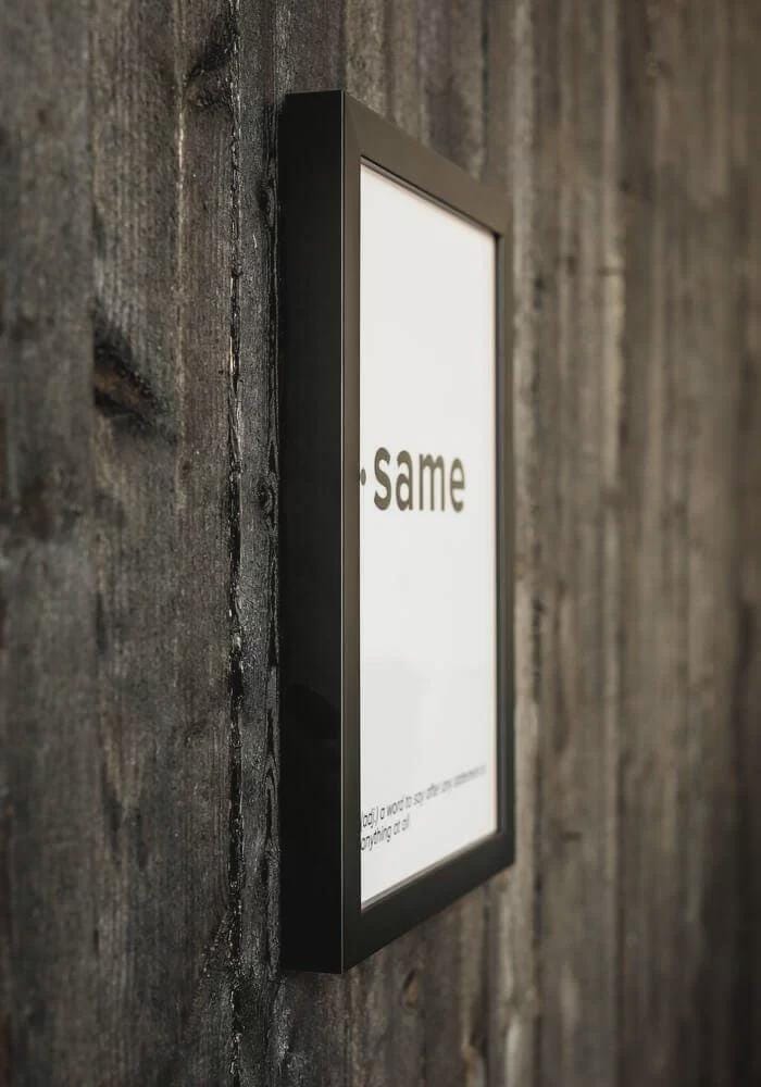 US Stamp #1245 - 1964 5 cent - John Muir Conservationist - Framed Photo