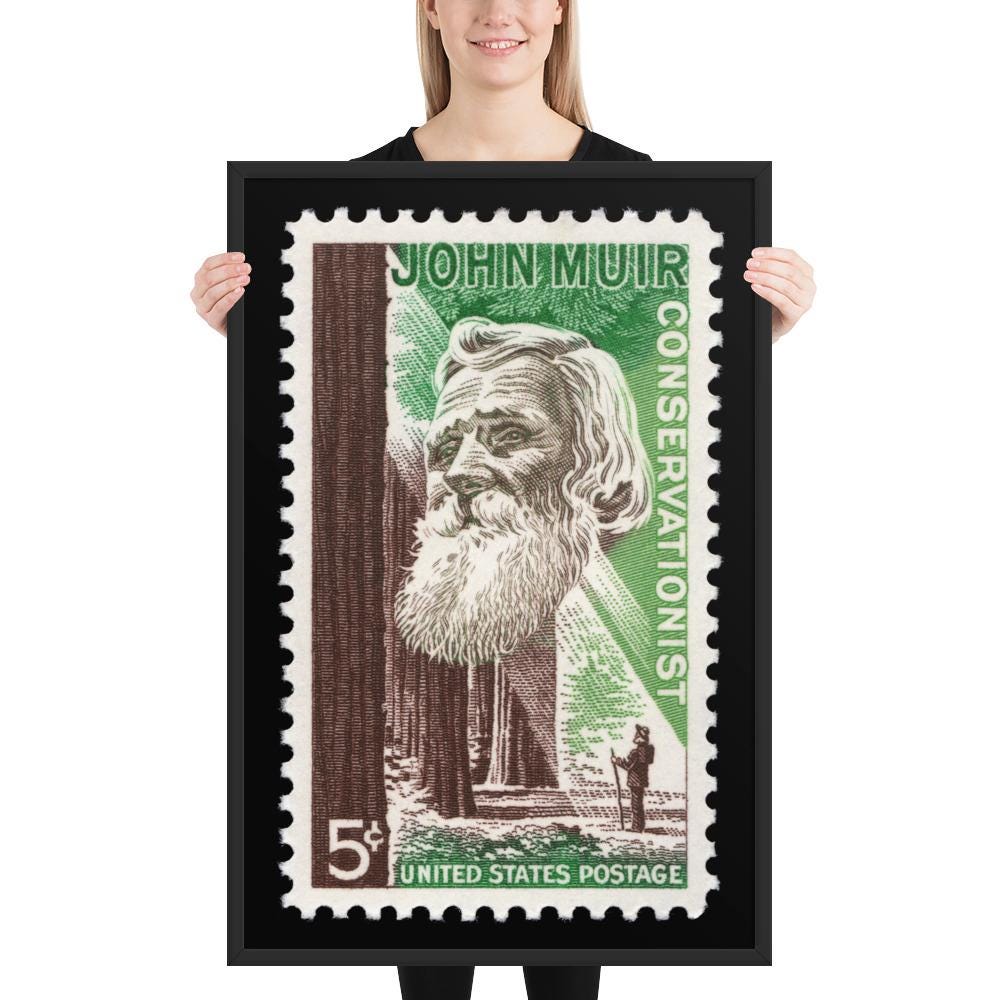 US Stamp #1245 - 1964 5 cent - John Muir Conservationist - Framed Photo