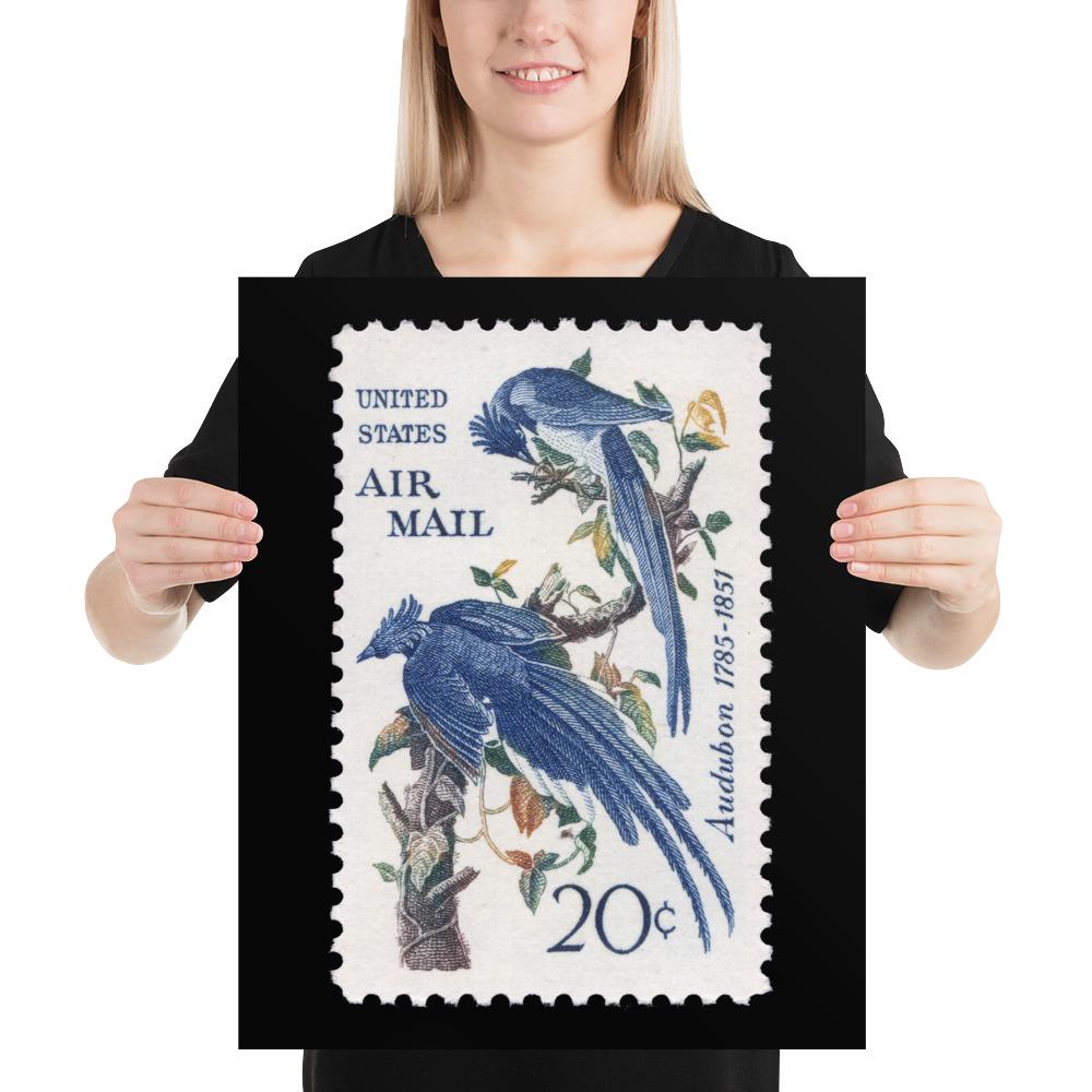 US Stamp #C71 - 1967 - 20 cent - Columbia Jays - Poster Print