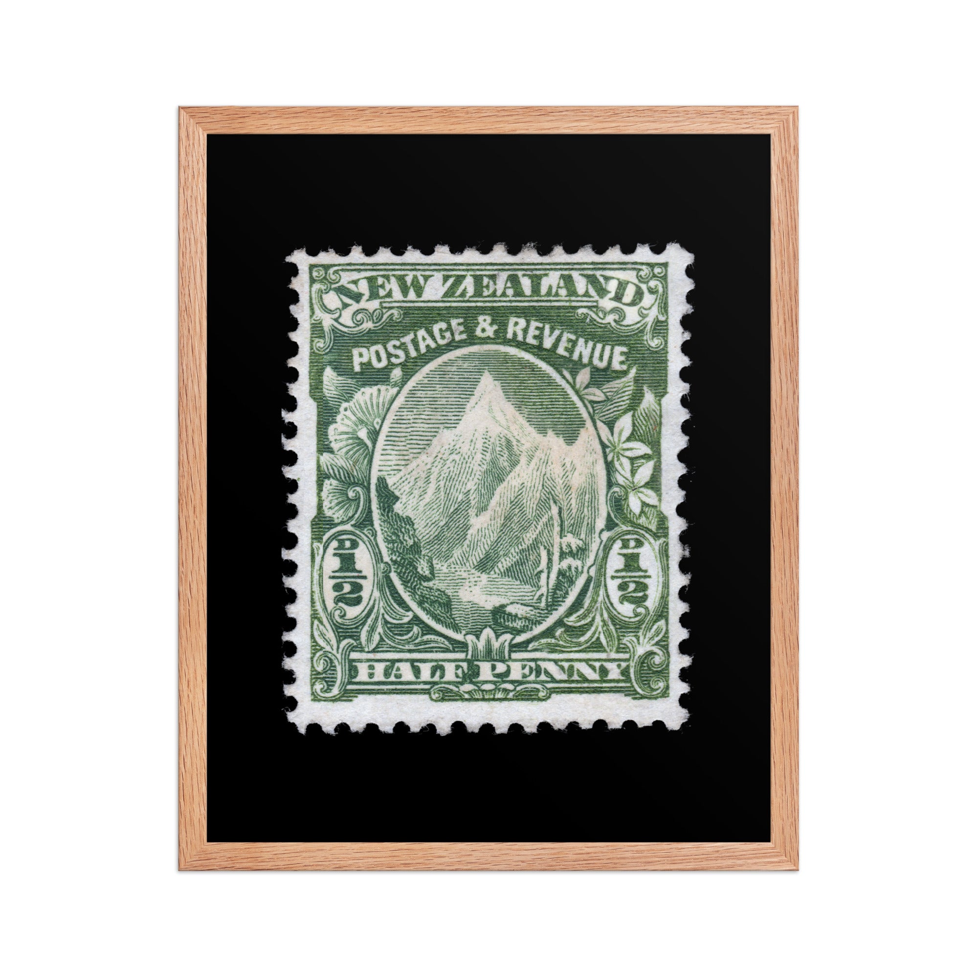 New Zealand #104 - 1902 - 1/2 penny - Mount Cook (Framed Print)